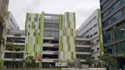 North Spring Bizhub (D27), Factory #457424991